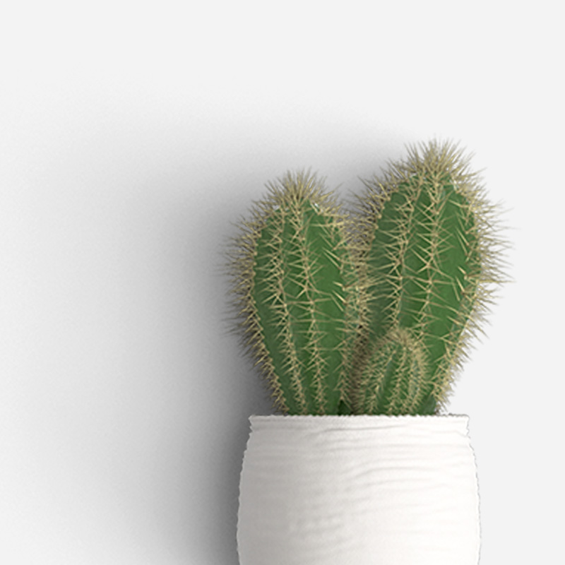 product-3-gallery-2 a